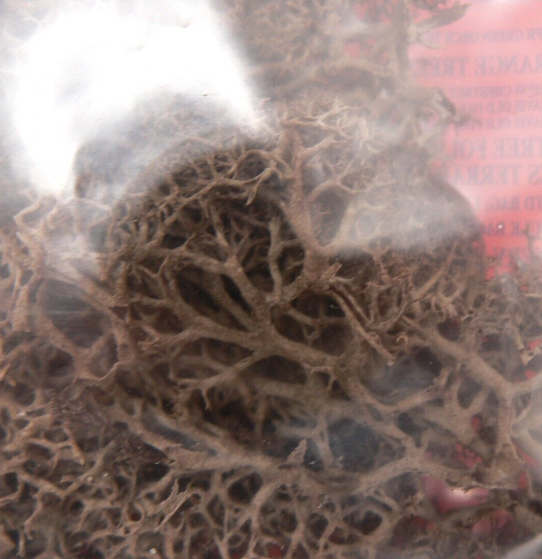 Brown Lichen JBLS Natural Foliage for Model Railway and Diorama Scenery