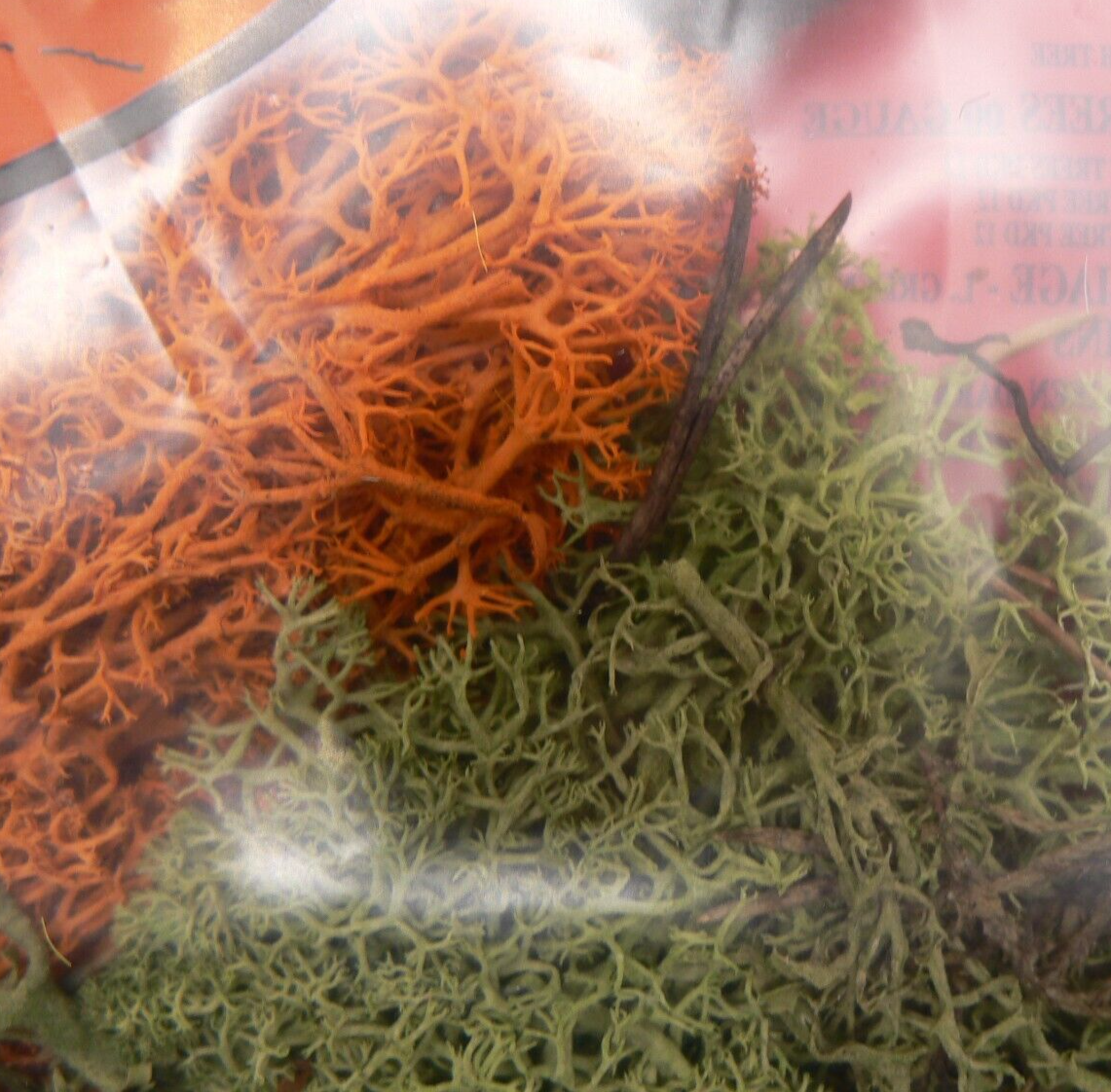 Autumn Mix Lichen JAMLS Natural Foliage for Model Railway and Diorama Scenery