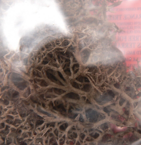 Brown Lichen JBLS Natural Foliage for Model Railway and Diorama Scenery