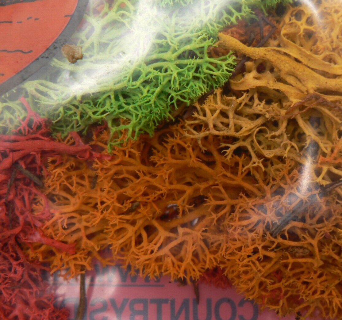 Multi Colour Lichen JMCLS Natural Foliage for Model Railway and Diorama Scenery