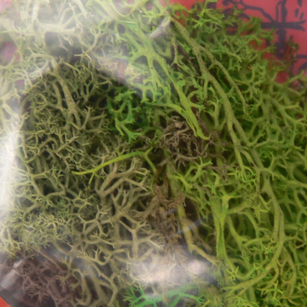 Summer Mix Lichen JSMLS Natural Foliage for Model Railway and Diorama Scenery